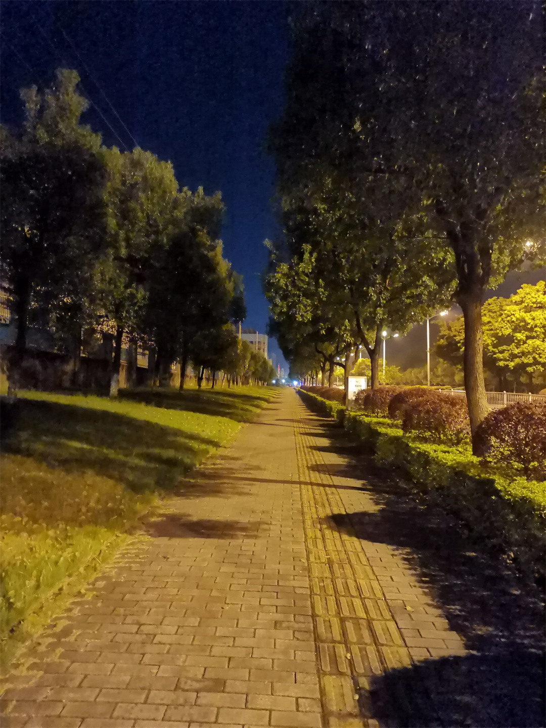 请输入图片描述